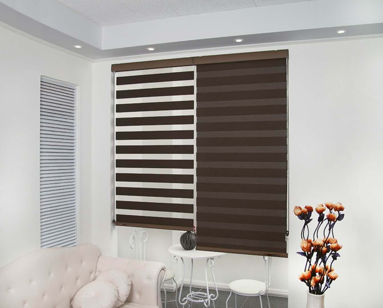 Zebra Blinds: Where Modern Design Meets Smart Light Control