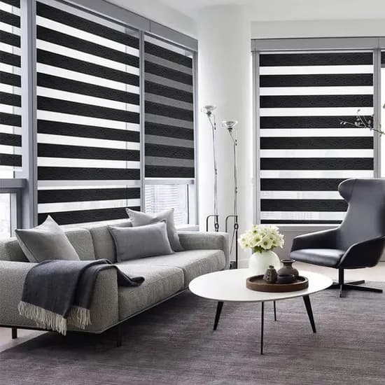 Zebra Blinds The Modern Window Treatment Revolutionizing Light and Privacy